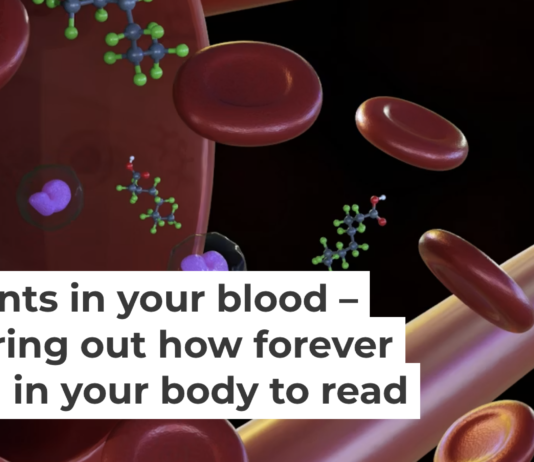 Figuring out which PFAS types are accumulating in your body is challenging. Love Employee/iStock via Getty Images Plus
